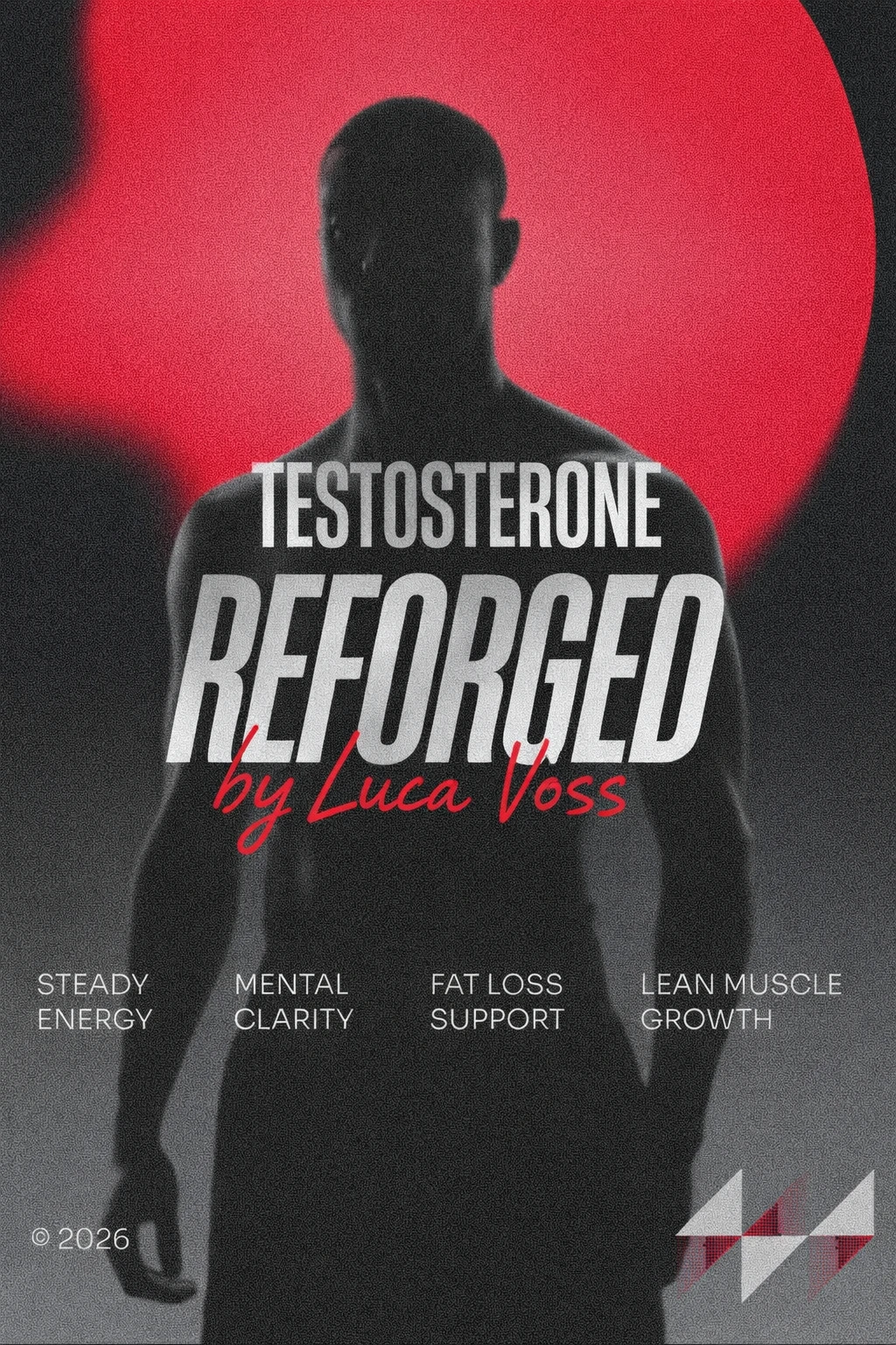 Testosterone Reforged eBook by Luca Voss